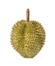 Ripe Durian fruit