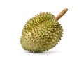 Ripe Durian fruit