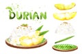 Ripe durian rice cooked with coconut milk, Asian Thai style summer dessert, watercolor hand drawn durian rice illustration and Royalty Free Stock Photo