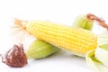Ripe ear of sweet corn on cobs kernels or grains of ripe corn on white background vegetable isolated Royalty Free Stock Photo
