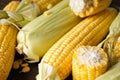 Ripe ears of corn, horizontal, close-up.