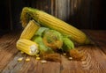 Ripe ears of sweet corn close-up on a wooden table, horizontal view, rustic style