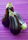 Ripe eggplant