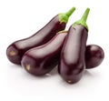 Ripe eggplants vegetable  on white background Royalty Free Stock Photo