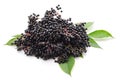 Ripe elderberry berries