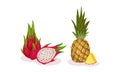 Ripe Exotic Fruits with Dragon Fruit and Pineapple Vector Set