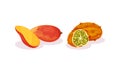 Ripe Exotic Fruits with Kiwano and Mango Vector Set