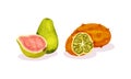 Ripe Exotic Fruits with Kiwano and Pomelo Vector Set