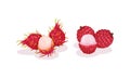 Ripe Exotic Fruits with Rambutan and Lychee Vector Set