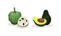 Ripe Exotic Fruits with Sugar Apple and Avocado Vector Set