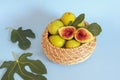 Ripe figs in small basket and green leaves of fig tree Royalty Free Stock Photo