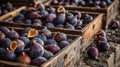 Ripe figs in wooden crates at vibrant mediterranean market showcasing cultural richness