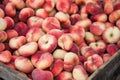 Ripe flat peaches Royalty Free Stock Photo