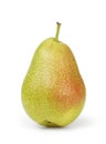 Ripe forelle pear Royalty Free Stock Photo