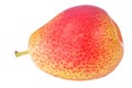 Ripe forelle pear isolated on white Royalty Free Stock Photo
