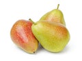 Ripe forelle pears Royalty Free Stock Photo