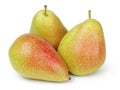 Ripe forelle pears Royalty Free Stock Photo