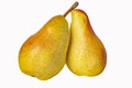 ripe forelle pears, isolated on white background