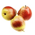 Ripe Forelle Pears Royalty Free Stock Photo