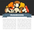 Ripe forest mushrooms of all edible species on promotional poster with sample text