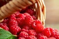 Ripe forest raspberries scattered from a small basket on a wooden table, close-up