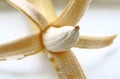 Ripe, fragrant banana on a white background, close up,