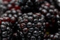 Ripe fresh blackberries, an abstract background of blackberries. Top view. Close-up. Macro. Blackberry berries with water drops Royalty Free Stock Photo