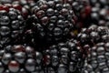 Ripe fresh blackberries, an abstract background of blackberries. Top view. Close-up. Macro. Blackberry berries with water drops Royalty Free Stock Photo