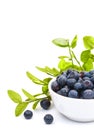 Ripe fresh blueberries in a small white ceramic bowl, isolated on white background, close-up. Vertical format Royalty Free Stock Photo