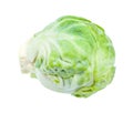 Ripe fresh brussels sprout isolated on white Royalty Free Stock Photo