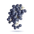 Ripe fresh bunch dark of grapes floating in air on white background