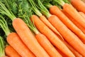 Ripe fresh carrots as background