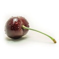 Wet ripe fresh cherries isolated on white background. Royalty Free Stock Photo