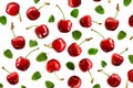 Ripe fresh cherries on white background. Top view. Berry background. Summer berries texture. Copy Space Royalty Free Stock Photo