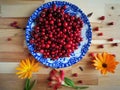 Ripe fresh cowberry lingonberry Royalty Free Stock Photo