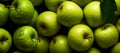 Ripe,fresh green apples heap at market,close up taken