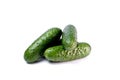 Ripe fresh green cucumbers isolated on a white background Royalty Free Stock Photo