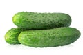 Ripe fresh green cucumbers isolated on white background. Full depth of field Royalty Free Stock Photo