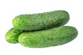 Ripe fresh green cucumbers isolated on white background. Full depth of field Royalty Free Stock Photo