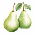 Pear with Leaf and Bloom Isolated on White Background. Watercolour illustration. Generative AI. Royalty Free Stock Photo