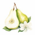 Pear with Leaf Isolated on White Background. Watercolour illustration. Generative AI. Royalty Free Stock Photo