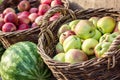 Ripe fresh green and red organic apples in basket on the market. Harvest time. Fresh fruits shopping at the local outdoor farmers Royalty Free Stock Photo