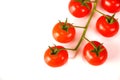 Ripe fresh Juicy organic cherry tomatoes closeup on branch isolated on a white background Royalty Free Stock Photo