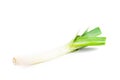 Ripe fresh leek isolated Royalty Free Stock Photo