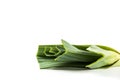 Ripe fresh leek isolated Royalty Free Stock Photo