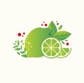 ripe fresh lime with mint leaves Royalty Free Stock Photo