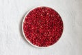 Ripe fresh lingonberry in a white plate Royalty Free Stock Photo