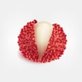 Ripe fresh litchi fruits realistic isolated vector