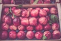 Ripe fresh nectarines in a farmers market Royalty Free Stock Photo