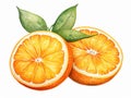 Orange sliced in half with Leaf Isolated on White Background. Watercolour illustration. Generative AI. Royalty Free Stock Photo